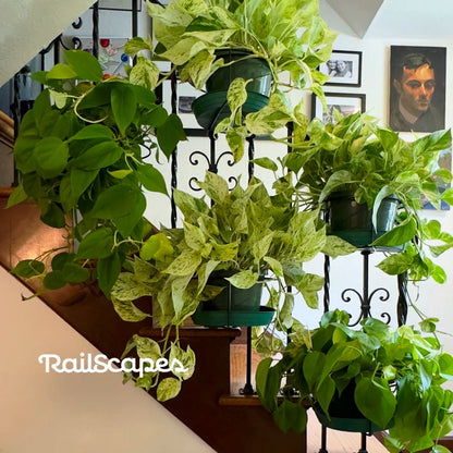 49% OFF Today ✨ Balcony Planter Clips — No Tools Needed 🪴