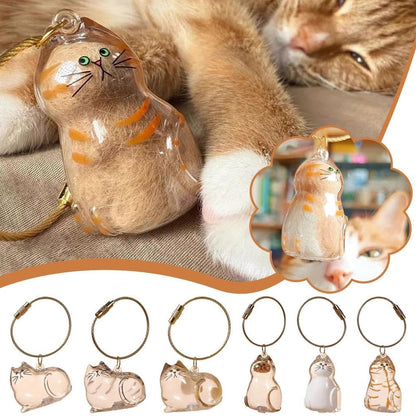 🐾Pet Hair Memorial Capsule Keychain