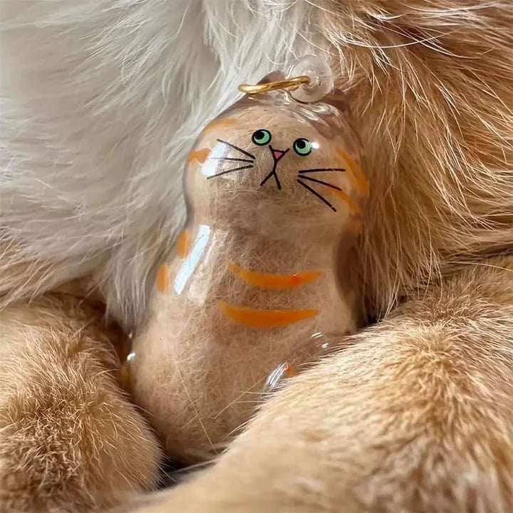 🐾Pet Hair Memorial Capsule Keychain