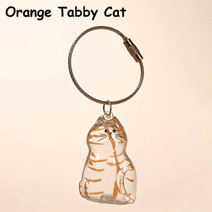 🐾Pet Hair Memorial Capsule Keychain