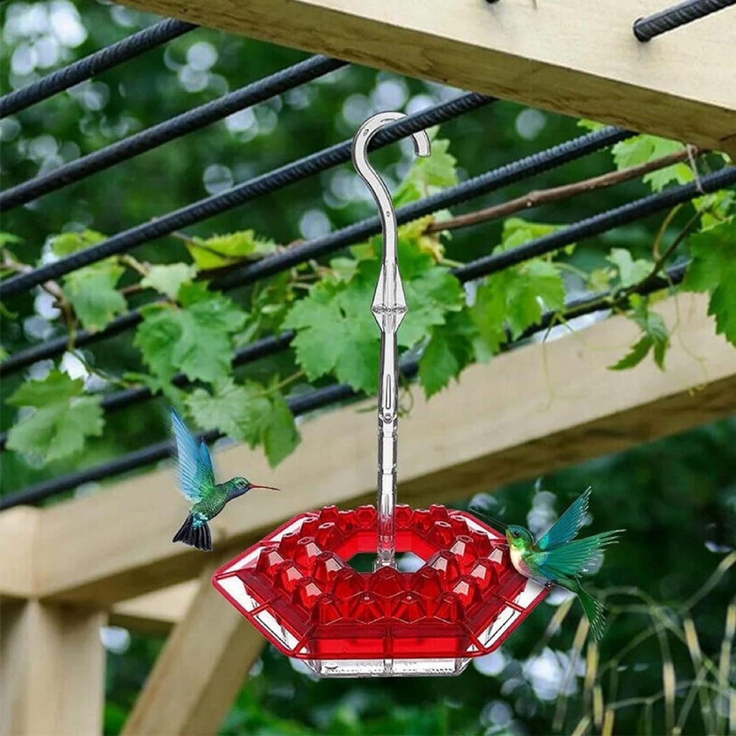 ✨Hummingbird Feeders for Outdoors Hanging