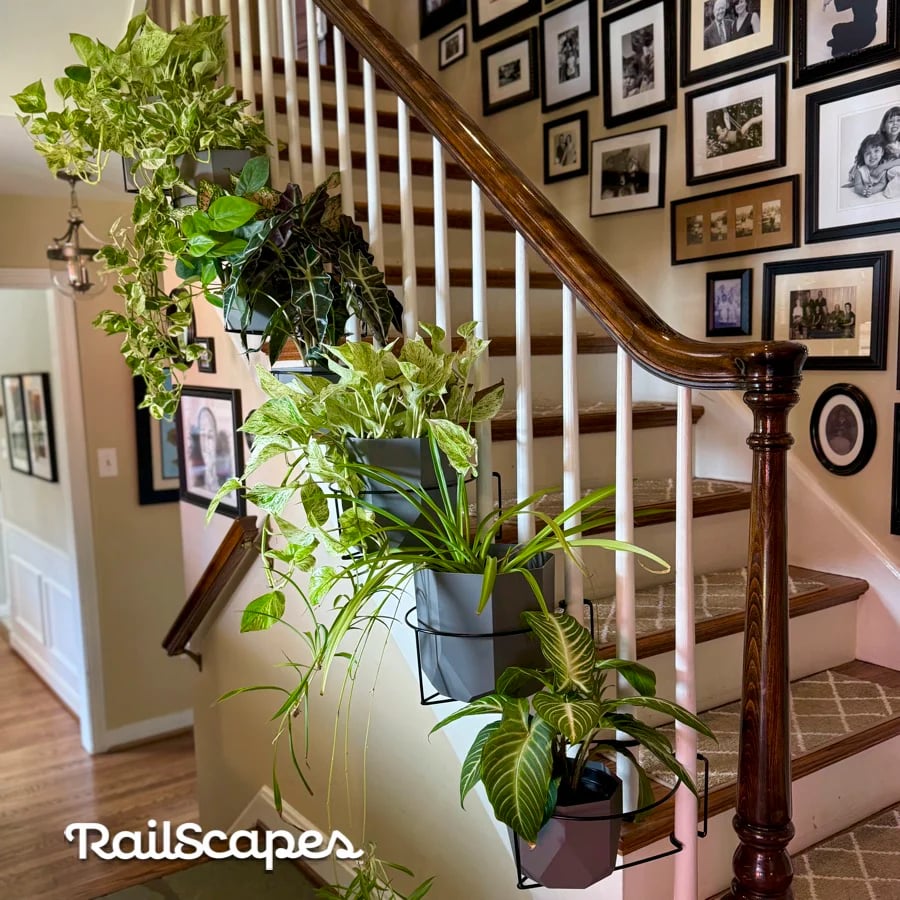 49% OFF Today ✨ Balcony Planter Clips — No Tools Needed 🪴